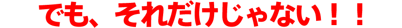 でも、それだけじゃない！！